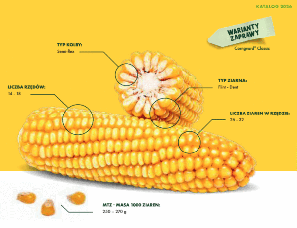 Kukurydza FARMQUICK